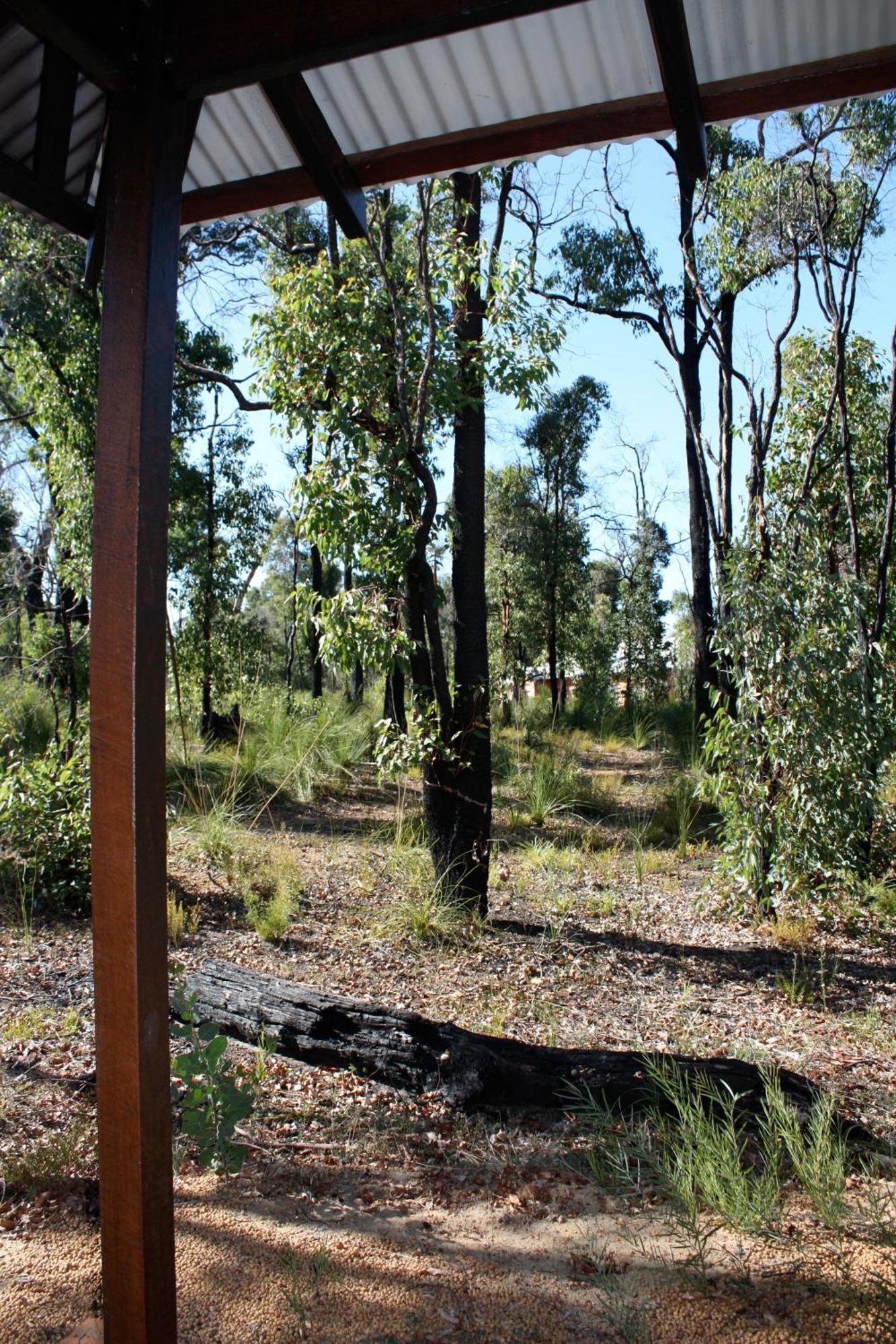 Chalets On Stoneville Redcliffe Εξωτερικό φωτογραφία